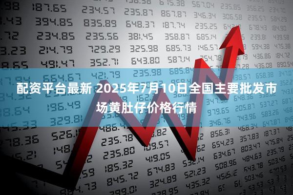 配资平台最新 2025年7月10日全国主要批发市场黄肚仔价格行情